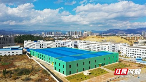 湖南新田 标准化厂房 筑巢引凤 组图