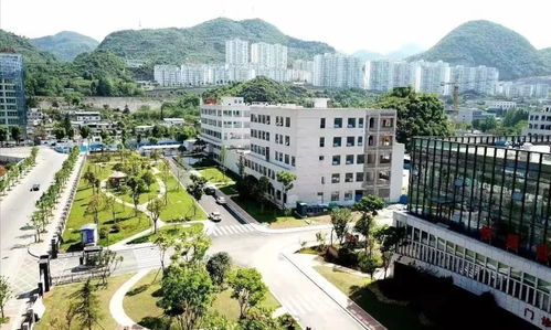 完成投资6.22亿元 六盘水2023年 十件民生实事 超额完成