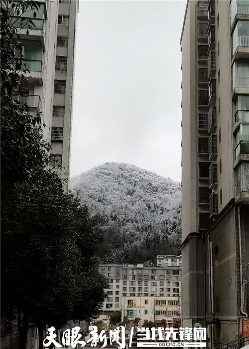 贵州多地迎来今冬第一场雪 银装素裹,宛如仙境